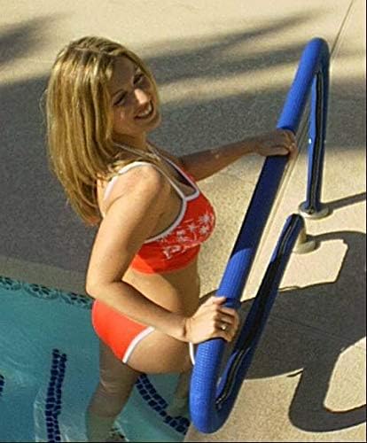 Aqua Select Premium Stainless Steel Pool Hand Rail for Inground Swimming Pools | Measures 50" x 36" x 8" Stainless Material | Easy to Install